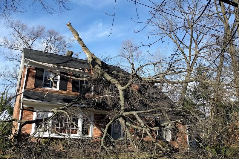 Storm Damage Cleanup & Repair Frisco TX